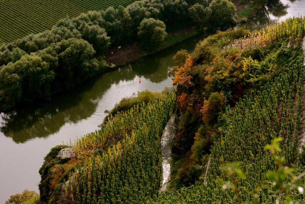 Bio-Weingut Staffelter Hof Guest House Kröv Екстериор снимка
